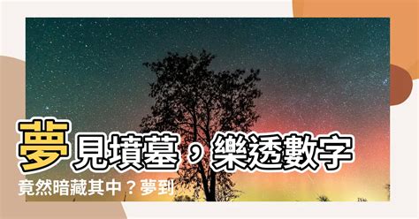 夢到鳥號碼|夢境解讀數字竟然可以中樂透？整理好多個派網頁的解夢數字－。。